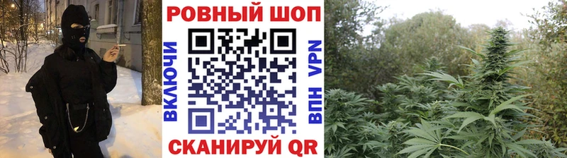 Наркошоп купить Alpha-PVP Канабис Меф мяу мяу КЕТАМИН Гашиш МЕТАДОН Берёзовка