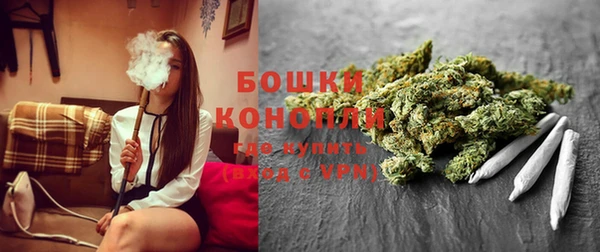 PSILOCYBIN Вязьма