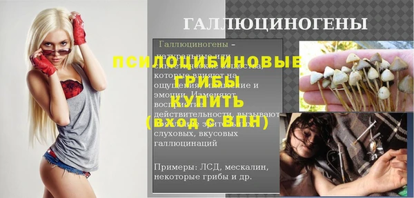 PSILOCYBIN Вязьма