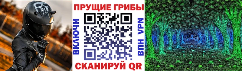 Купить  Берёзовка  Галлюциногенные грибы мицелий 